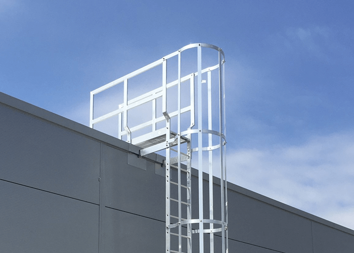 Iron Ladder Specialists Services